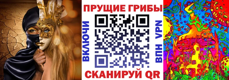 Купить  Мегион  Псилоцибиновые грибы прущие грибы 
