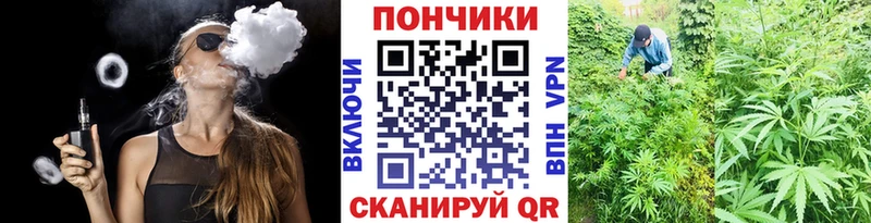 Купить закладки  Мегион  Конопля планчик 